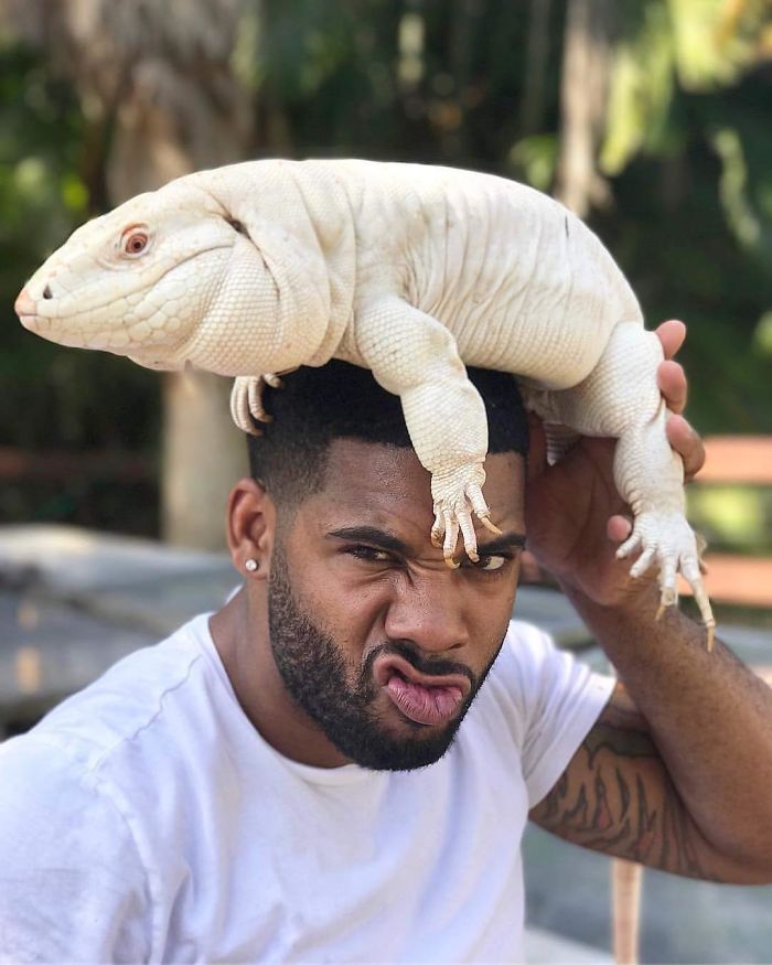 "The Real Tarzann" The Animal Friend Who Is Showing The Good Side Of The Internet