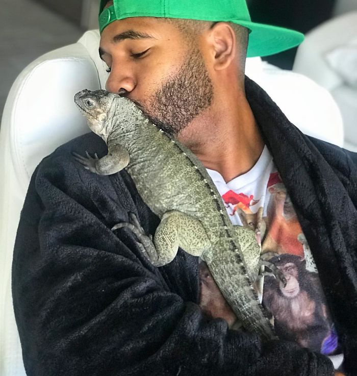 "The Real Tarzann" The Animal Friend Who Is Showing The Good Side Of The Internet