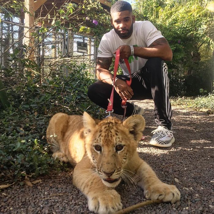 "The Real Tarzann" The Animal Friend Who Is Showing The Good Side Of The Internet