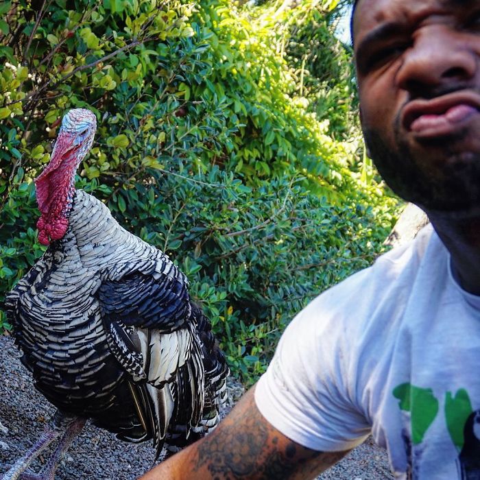 "The Real Tarzann" The Animal Friend Who Is Showing The Good Side Of The Internet