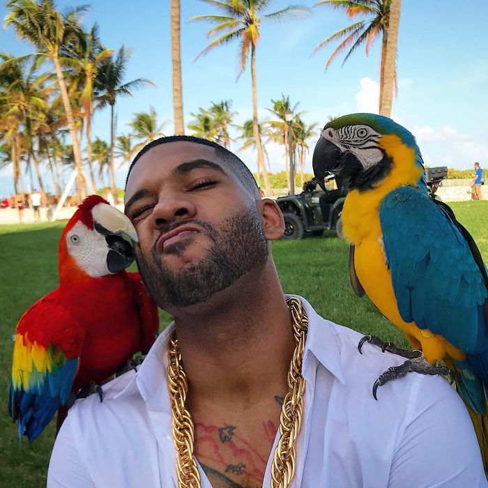 "The Real Tarzann" The Animal Friend Who Is Showing The Good Side Of The Internet