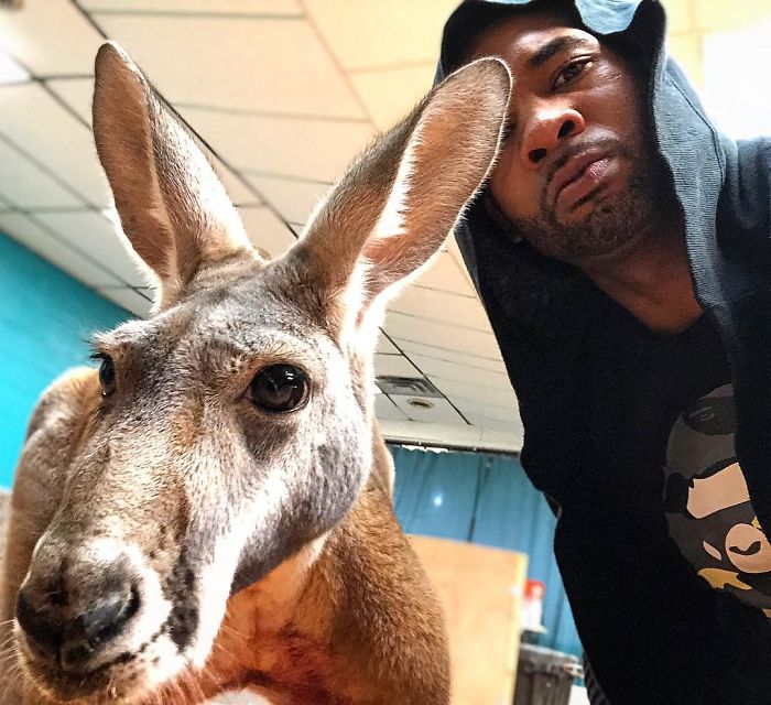 "The Real Tarzann" The Animal Friend Who Is Showing The Good Side Of The Internet