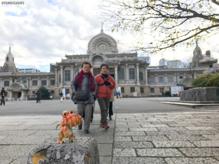 These Dinosaur-Mushroom Toys Have Traveled More Than Most People