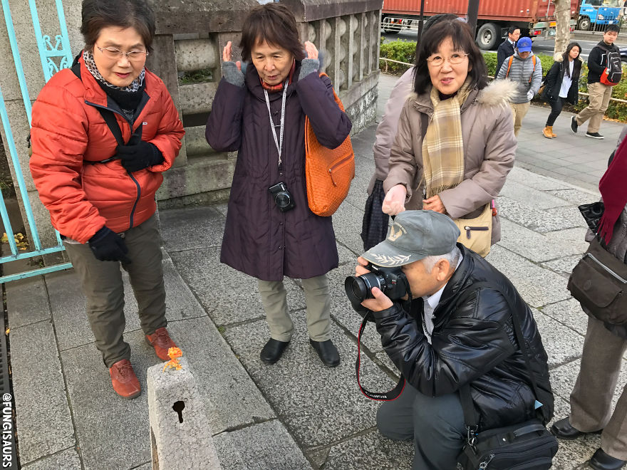 These Dinosaur-Mushroom Toys Have Traveled More Than Most People