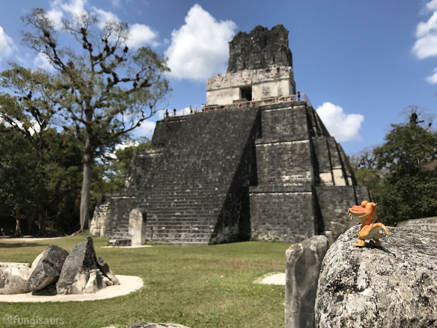 These Dinosaur-Mushroom Toys Have Traveled More Than Most People
