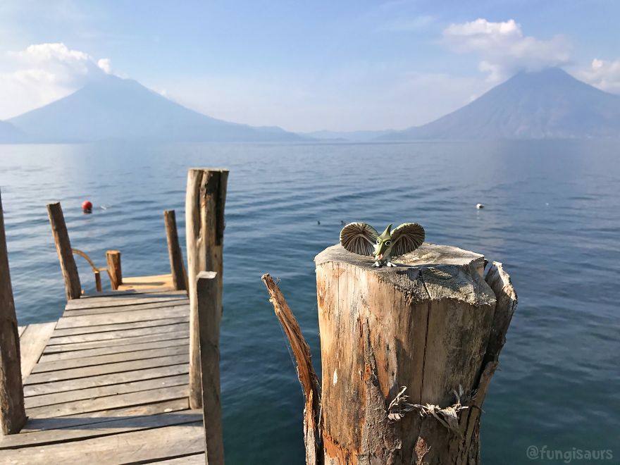 These Dinosaur-Mushroom Toys Have Traveled More Than Most People