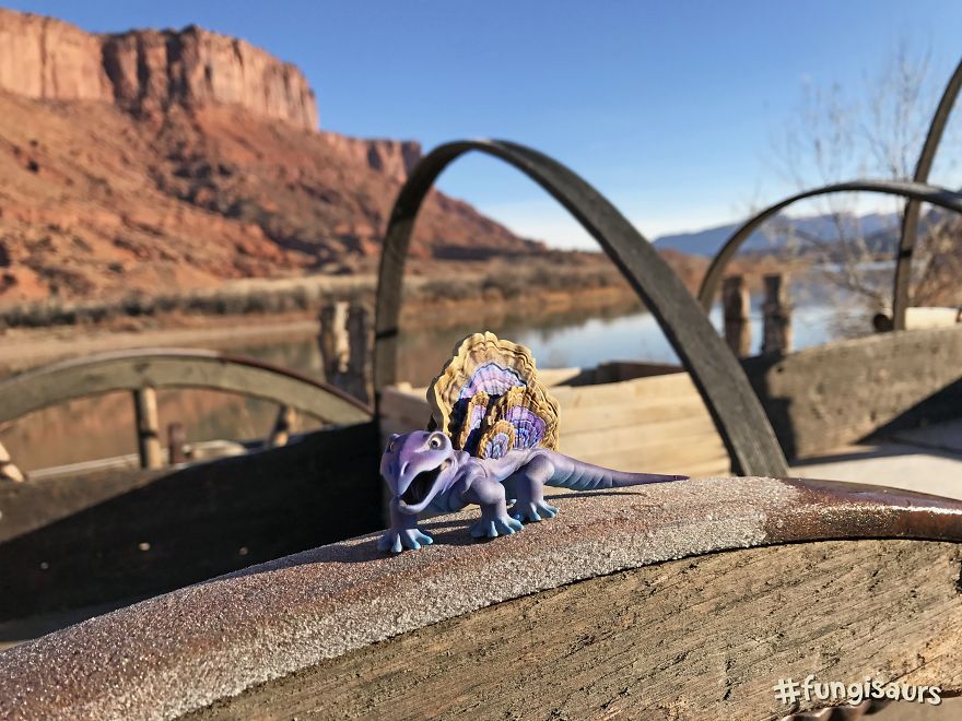 These Dinosaur-Mushroom Toys Have Traveled More Than Most People