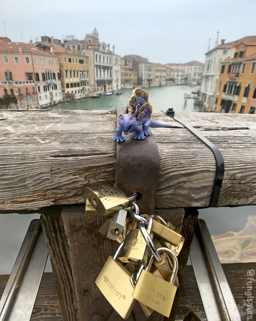 These Dinosaur-Mushroom Toys Have Traveled More Than Most People