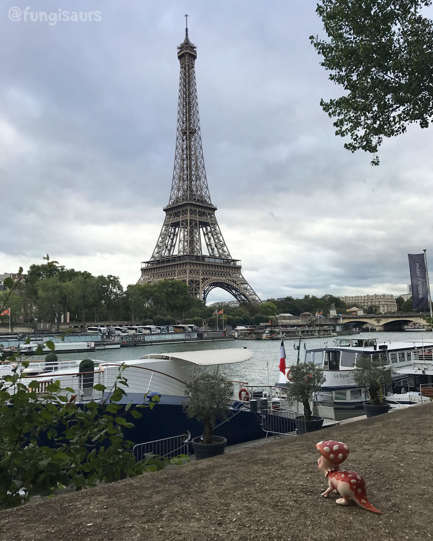 These Dinosaur-Mushroom Toys Have Traveled More Than Most People