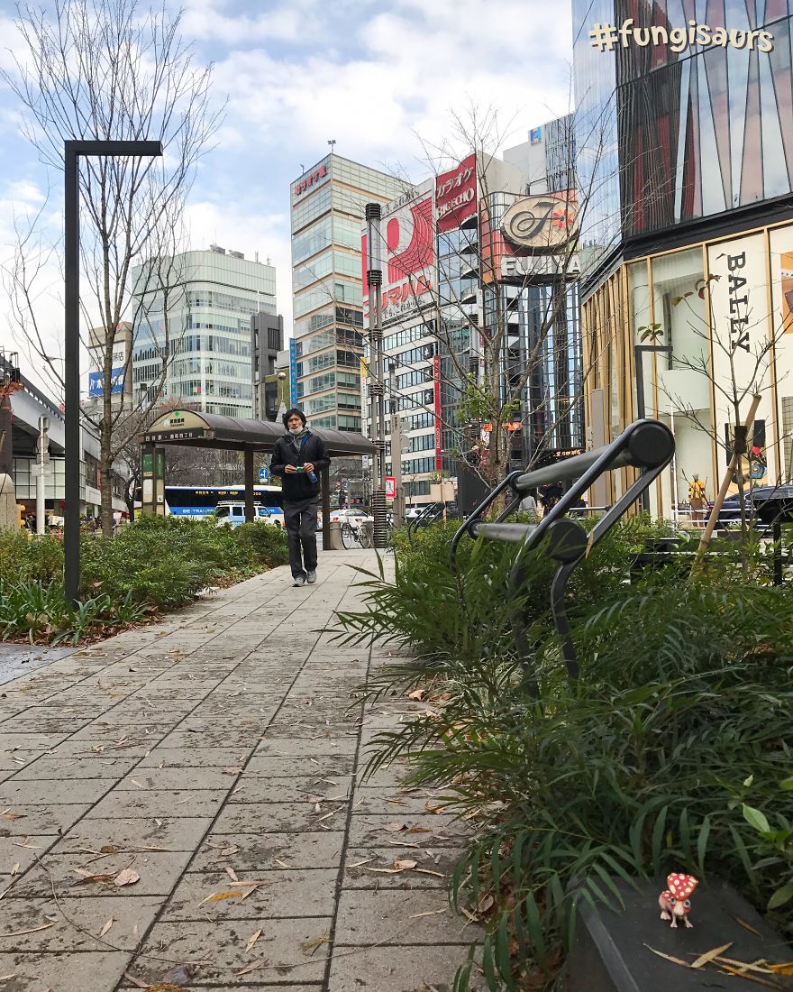 These Dinosaur-Mushroom Toys Have Traveled More Than Most People