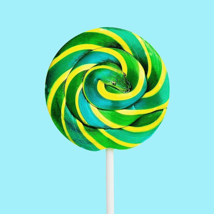 This Artist Confuses Our Minds With His Surreal Images