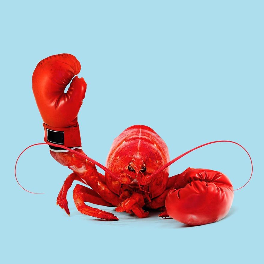 This Artist Confuses Our Minds With His Surreal Images