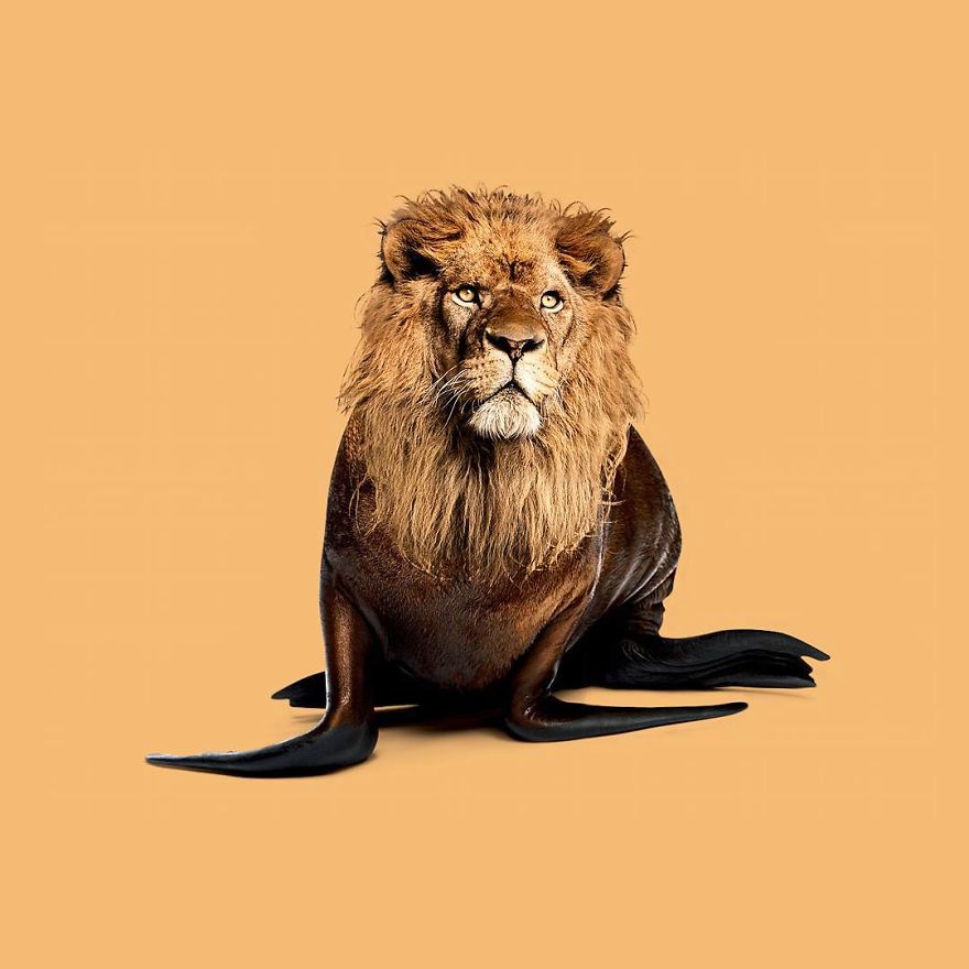 This Artist Confuses Our Minds With His Surreal Images