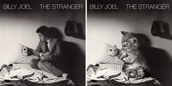 Funny-Kitten-Album-Covers