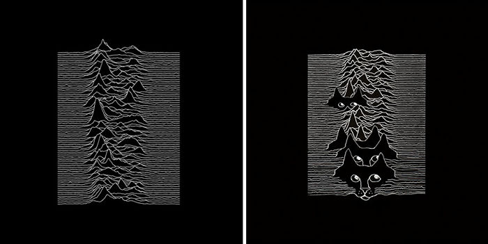 Funny-Kitten-Album-Covers