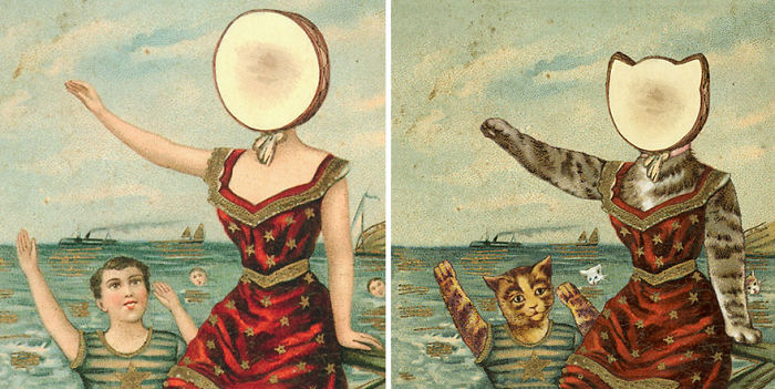 Funny-Kitten-Album-Covers