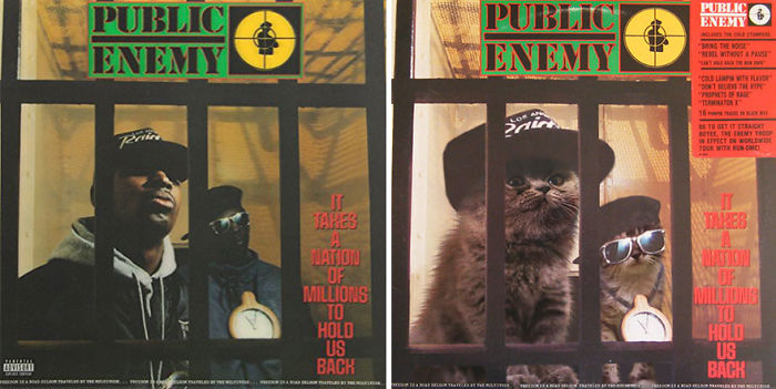 Funny-Kitten-Album-Covers