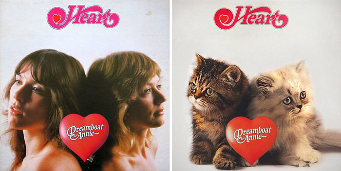 Funny-Kitten-Album-Covers