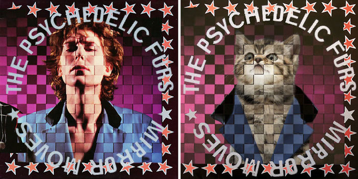 Funny-Kitten-Album-Covers