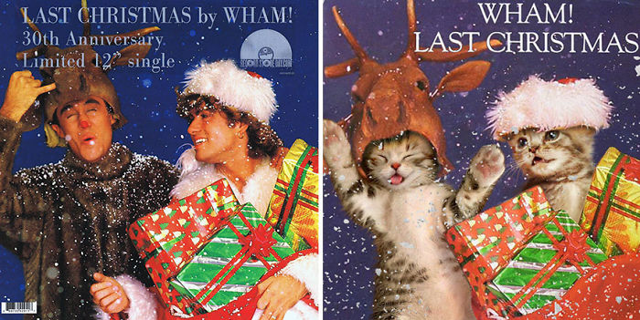 Funny-Kitten-Album-Covers