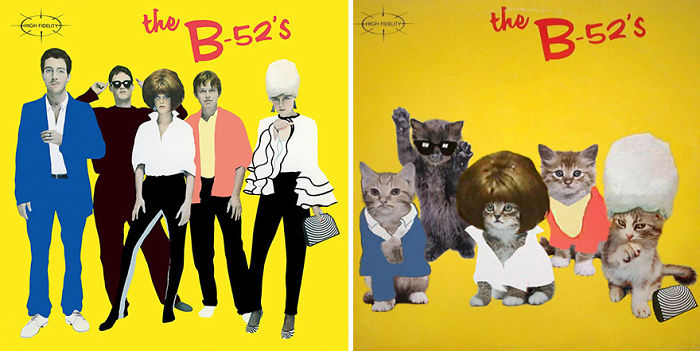Funny-Kitten-Album-Covers