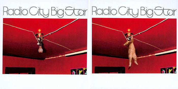 Funny-Kitten-Album-Covers