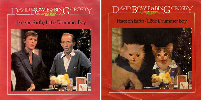 Funny-Kitten-Album-Covers