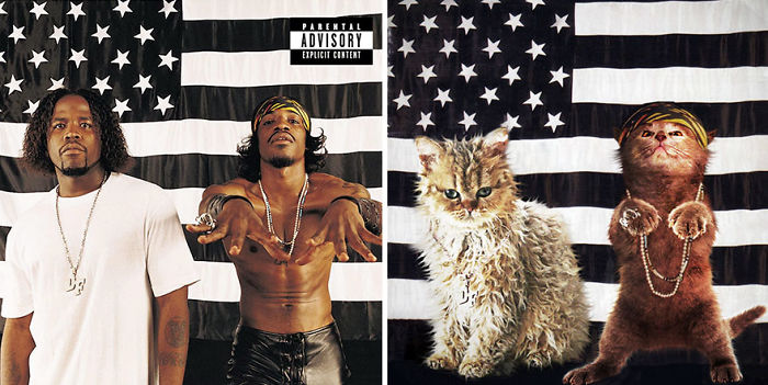 Funny-Kitten-Album-Covers