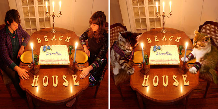 Funny-Kitten-Album-Covers