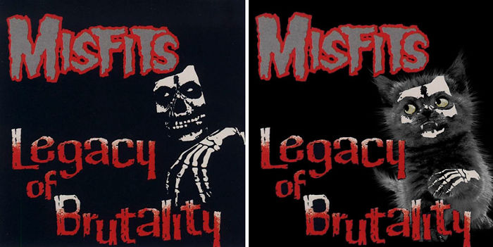 Funny-Kitten-Album-Covers