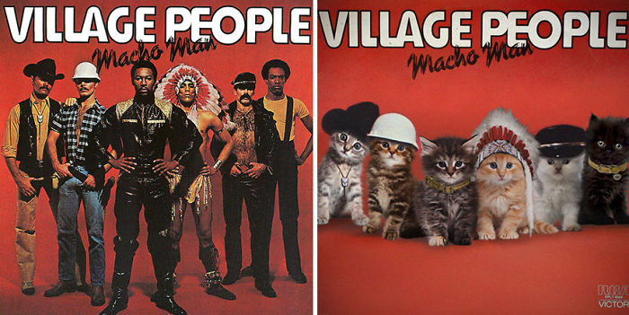 Funny-Kitten-Album-Covers