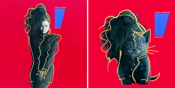 Funny-Kitten-Album-Covers