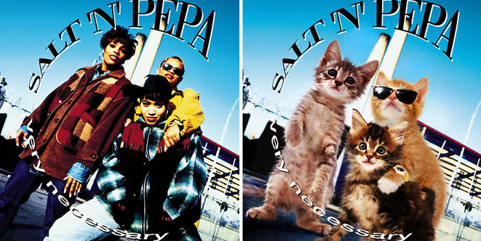 Funny-Kitten-Album-Covers