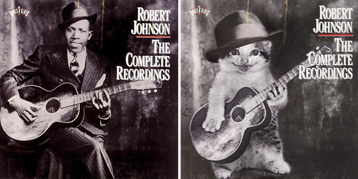 Funny-Kitten-Album-Covers