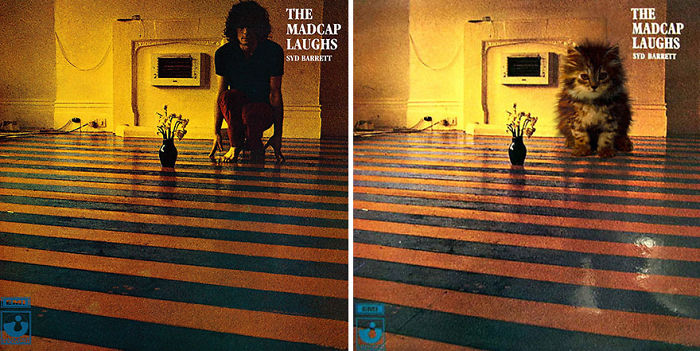 Funny-Kitten-Album-Covers