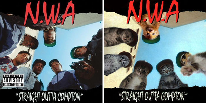 Funny-Kitten-Album-Covers