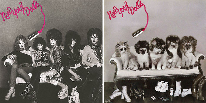 Funny-Kitten-Album-Covers