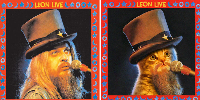 Funny-Kitten-Album-Covers