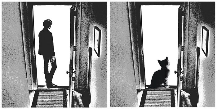 Funny-Kitten-Album-Covers