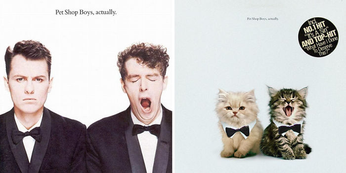 Funny-Kitten-Album-Covers