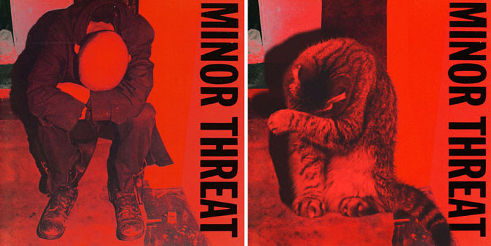 Funny-Kitten-Album-Covers