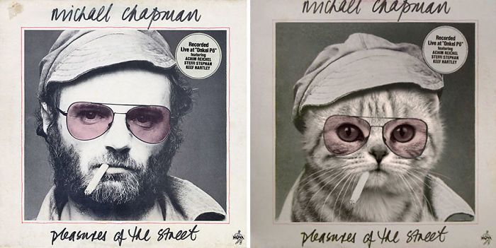 Funny-Kitten-Album-Covers