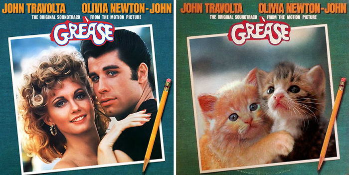 Funny-Kitten-Album-Covers