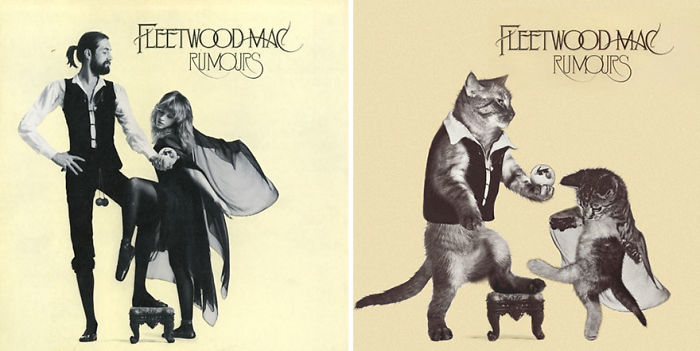 Funny-Kitten-Album-Covers