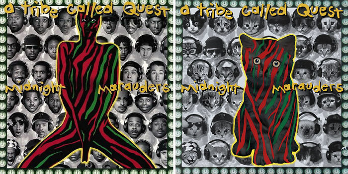 Funny-Kitten-Album-Covers