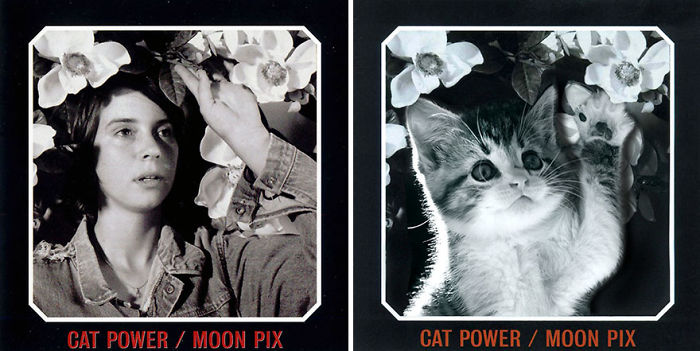 Funny-Kitten-Album-Covers