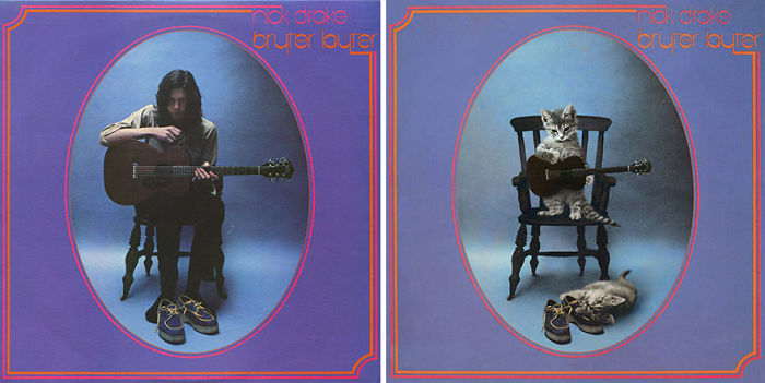 Funny-Kitten-Album-Covers