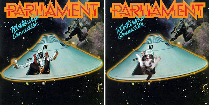 Funny-Kitten-Album-Covers