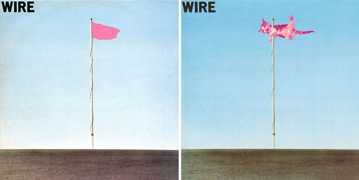 Funny-Kitten-Album-Covers