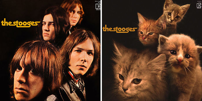 Funny-Kitten-Album-Covers